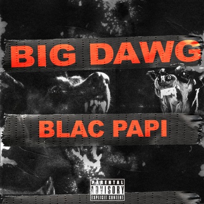 Big Dawg - Single