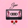 Selena Mix cover art