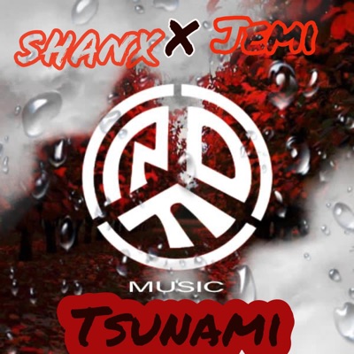 Tsunami (feat. jemi) - Single