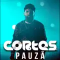 PAUZA
