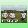 Te Alabo - Single