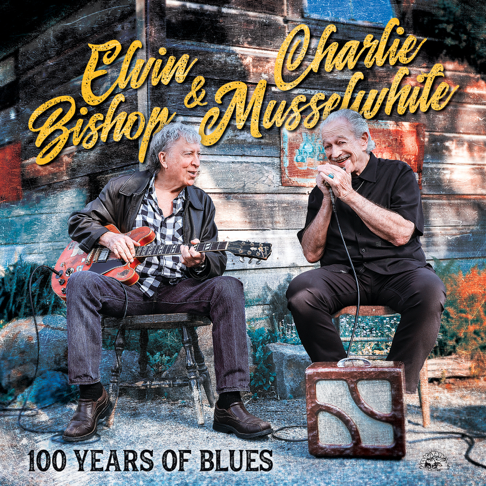 LPレコードELVIN BISHOP2セットエルヴィン・ビショップ