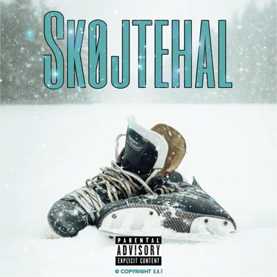 Skøjtehal - Single