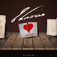 В клочья (feat. Мани) - Single - DJ Puza TGK