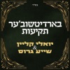 בארדיטשוב'ער תקיעות - Single