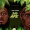 Big Ape (feat. Traphouse Trey) - King Kwamoe lyrics
