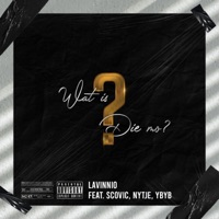 Wat Is Die Mo (feat. Scovic, Nytje & YB YB) - Single - Lavinnio