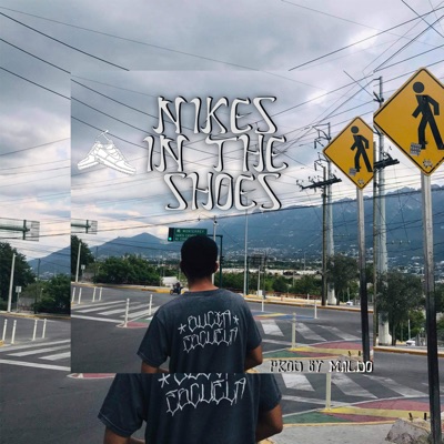 Nikes in the Shoes - Single