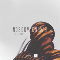 Nobody Knows (feat. Adri8k & Keyara) - Single - Sten Gilles