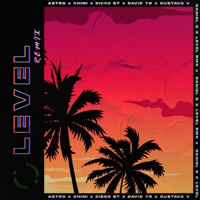 Level (Remix) - Single