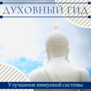 Духовный гид - Улучшение иммунной системы