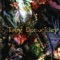 Tunnels - Troy Donockley lyrics
