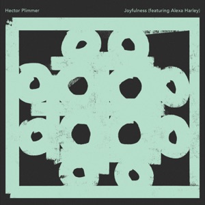 Joyfulness - Single