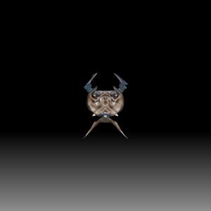 소양강의 하루 - Single