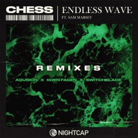 Endless Wave (Remixes) - Single - Chess