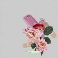 Whatsapp (feat. Webby) - Single - Reiis