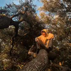 Dengarkan Akiin, tonton video musik, baca bio, lihat tanggal tur & lainnya!