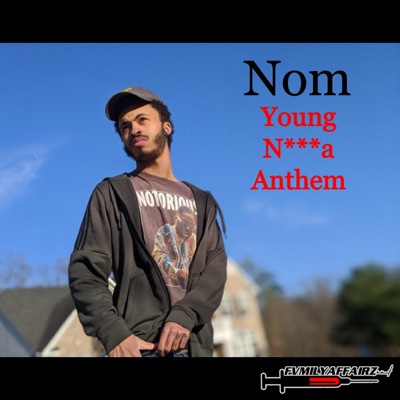 Young Nigga Anthem - Single