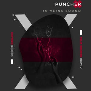 In Veins Sound - Single