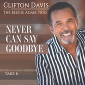 I've Never Been in Love Before (feat. The Beegie Adair Trio) artwork