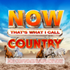 Various Artists - NOW That's What I Call Country artwork