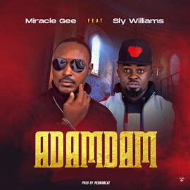 Adamdam (feat. Sly Williams) Miraclegee