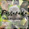 Passarada (feat. Roberto Shamanti, Carlos Alexandre, Armistrong Neto & Passarim da Amazônia) - Single