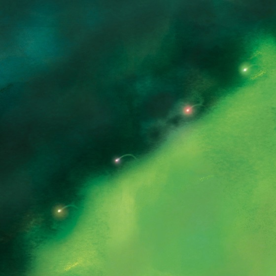 Cover artwork for Flow Backwards