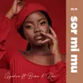 Sor Mi Mu