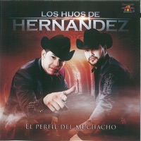 El Perfil del Muchacho - Los Hijos De Hernández