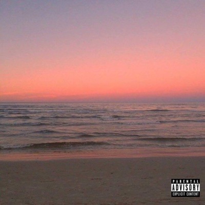 14 (Mi Plug 2) [feat. Fr33boi & Drizzy95] - Single