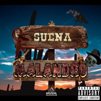 Suena Malandro - Single - Dflowmusik, Yustin NR & Ufology musik