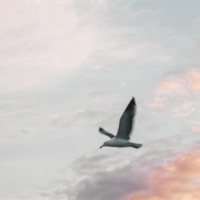 Trumpet Concerto No.1 (Trumpet Town) [feat. Bratislava Symphony Orchestra & Johan Plank] - Single - Otto M. Schwarz