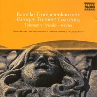 Trumpet Concerto in D major: I. Allegro - Niklas Eklund, Nils-Erik Sparf & Drottningholm Baroque Ensemble