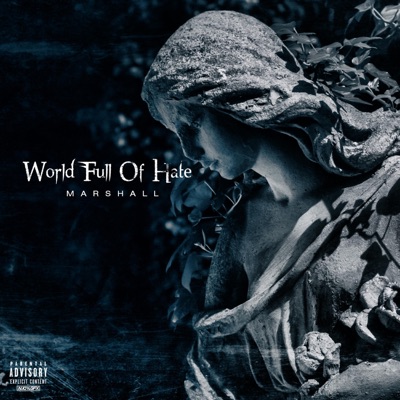 World Full of Hate - Single