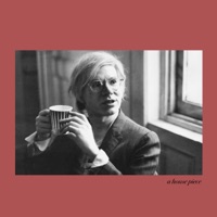 Andy Warhol - Single - AdimProd