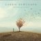 The Plumb Line - Carrie Newcomer lyrics