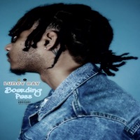 Boarding Pass - Luney Ray