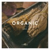 Organic Lounge, Vol. 1