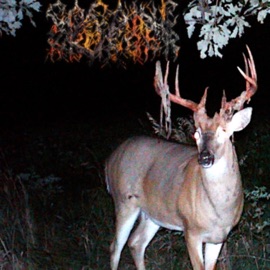 ON DA HOUSE (feat. mxstvh) Cocaine Krueger