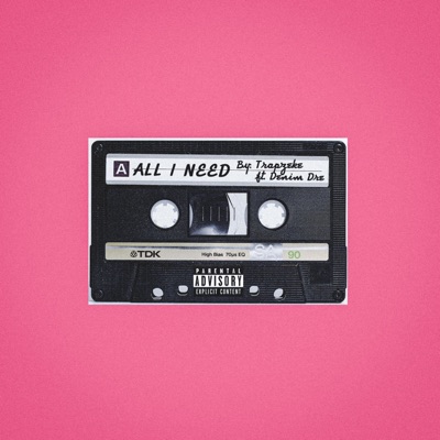 All I Need (feat. Denim Dre) - Single