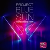 We're Burning Down - Single