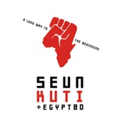 Seun Kuti & Egypt 86 - Black Woman
