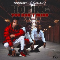 Hoping You Don't Mind (feat. Musiholiq) - Single - BlackBullet