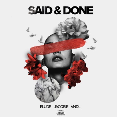 Said & Done - Single