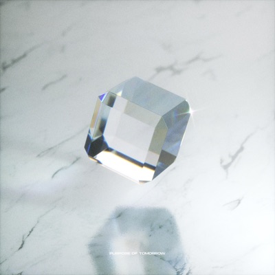 Purpose of Tomorrow (feat. Joel Selon) - Single