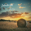 Detectorists - Aleko Nunez