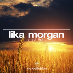 Shed Light (Remixes)