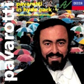 Pavarotti in Hyde Park artwork