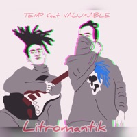 Litromantik - Single - Tempx & VALUXABLE